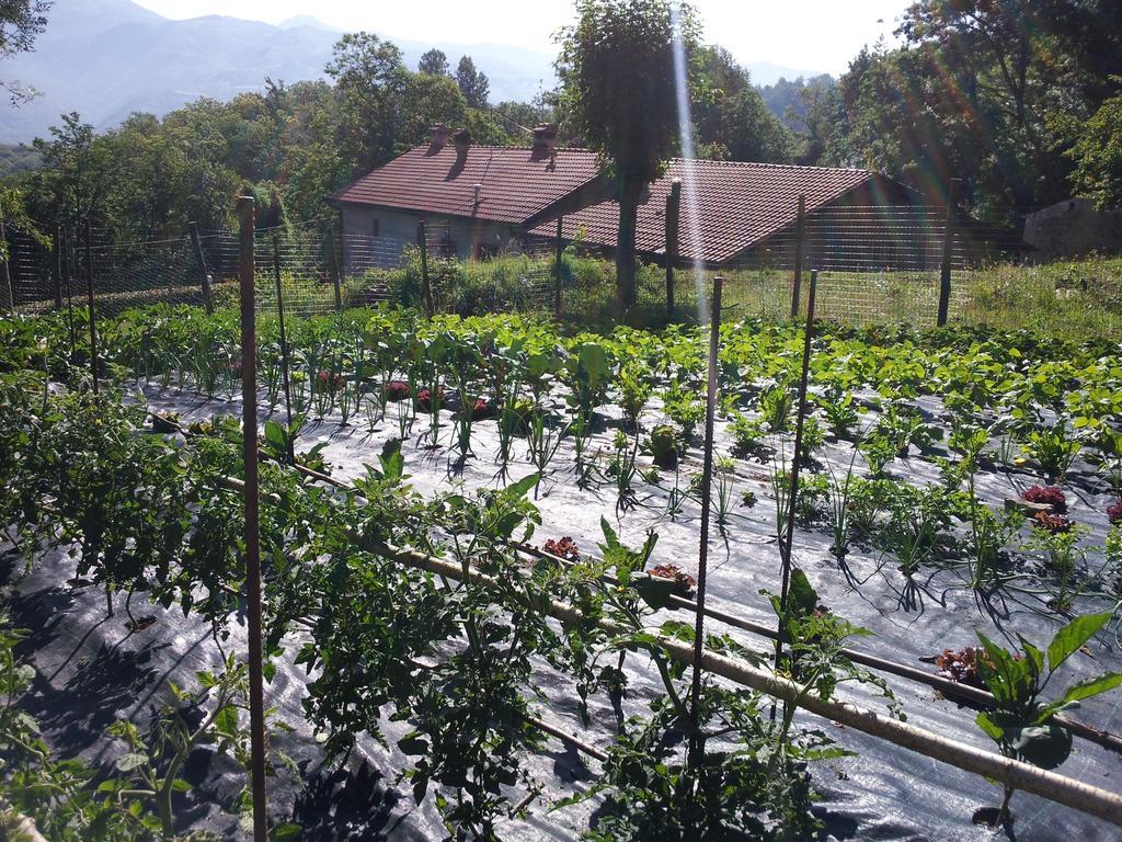 普可赛林尼3号乡村民宿 卡提哥里诺 外观 照片